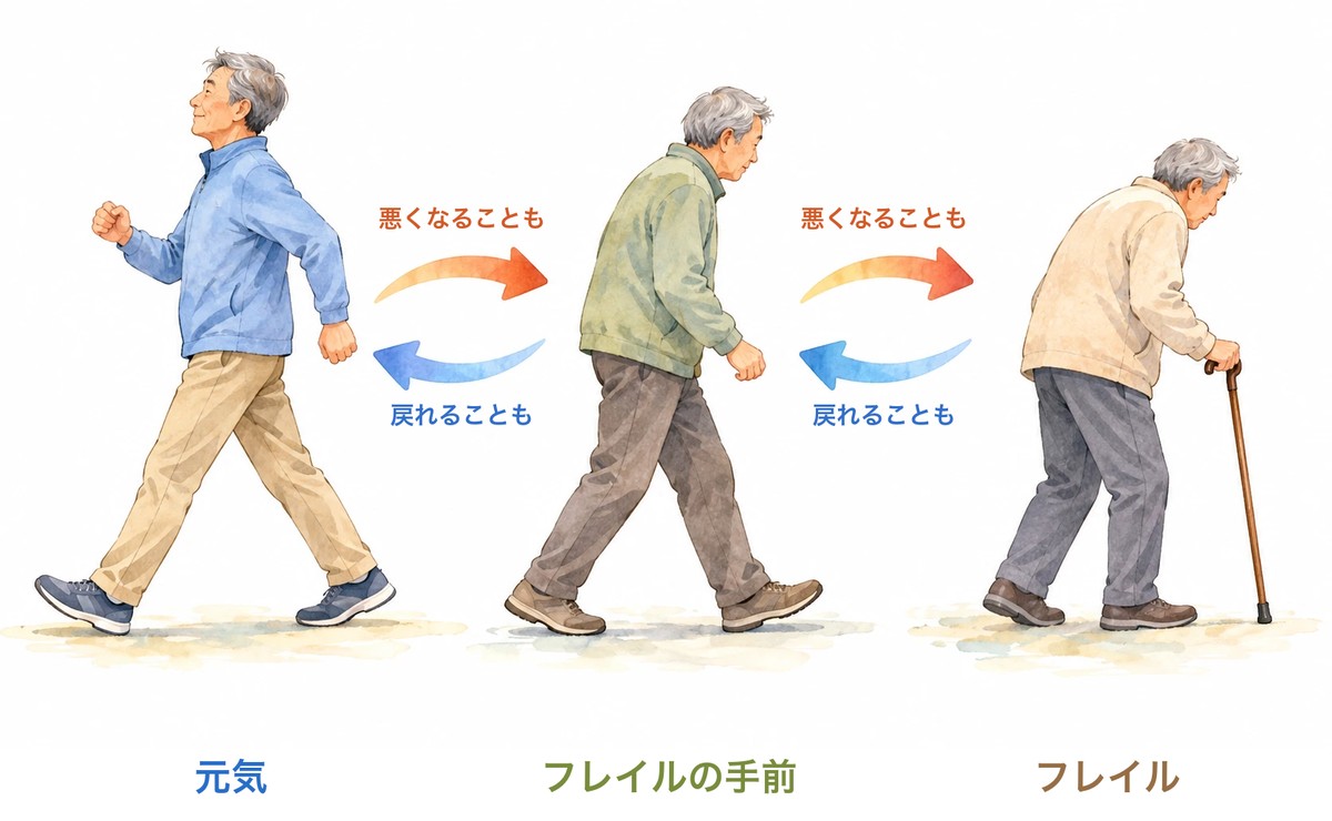Torapon 元気・フレイルの手前・フレイルの3段階を、悪くなる矢印と戻れる矢印で結んだ図