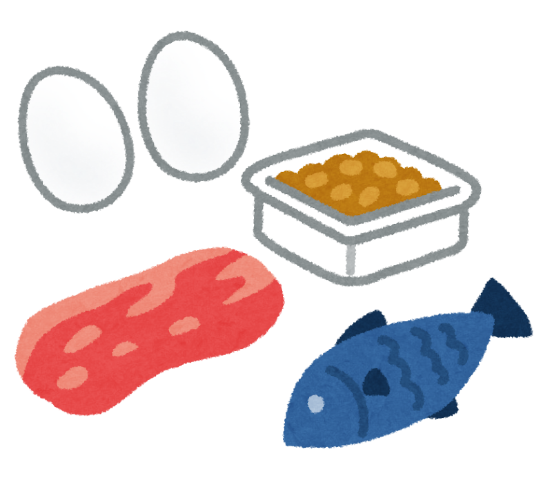 たんぱく質の食材のイラスト