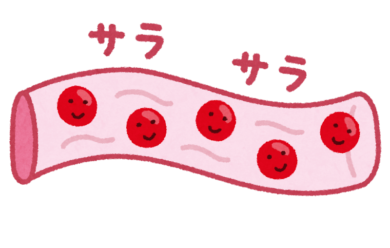 血液サラサラの血管
